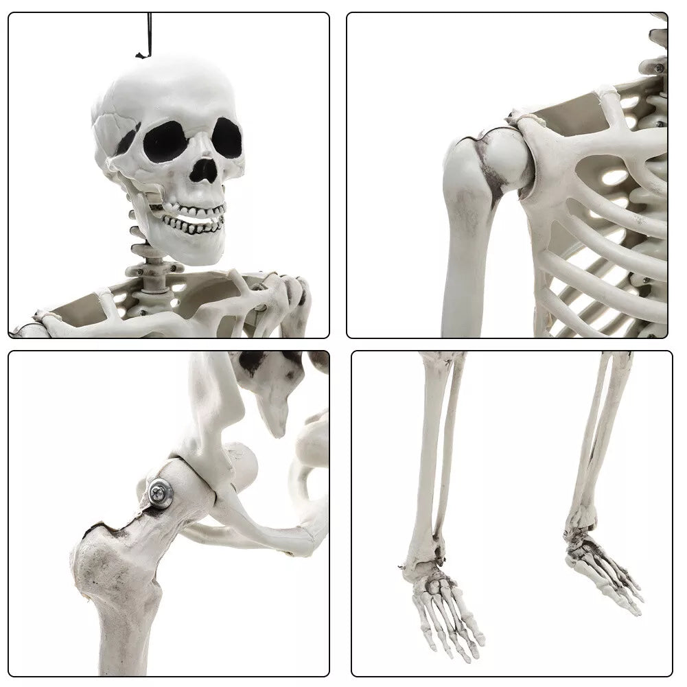 170cm Full Life Size Halloween Hanging Human Skeleton Bones Posable Skull Party — alternate product view 7