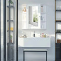 Wall Mounted Bathroom Cabinet with Mirror Single Door Storage Shelves — alternate product view 2