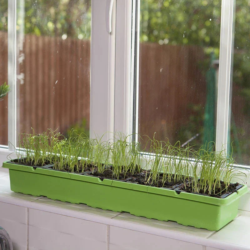 Windowsill Propagator Kit, Indoor Greenhouse, Set of 3, For 90 Plants, Reusable — alternate product view 7