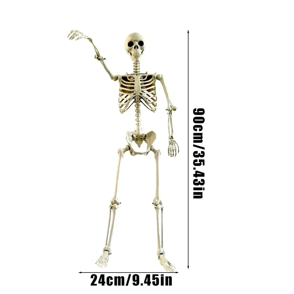 Halloween Human Skeleton Poseable Full Life Size Decoration Party Prop 90 cm — alternate product view 7