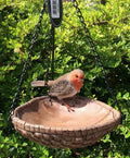 Robin Feeder Heart Shaped Hanging Resin Vivid Arts Garden Ornament — main product view