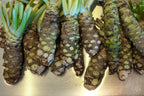 Wasabi Viable Seeds - Japanese Horseradish Plant- UK Stock — alternate product view 2
