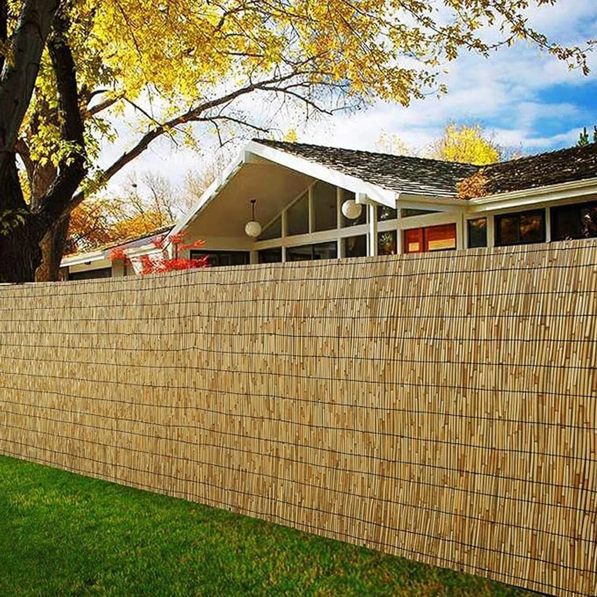 1.8M x 4M Natural Bamboo Peeled Reed Fence Screening Roll Fencing Panel Garden — main product view