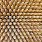 Round Fence Posts — 10 Packs — Multiple Sizes — alternate product view 6