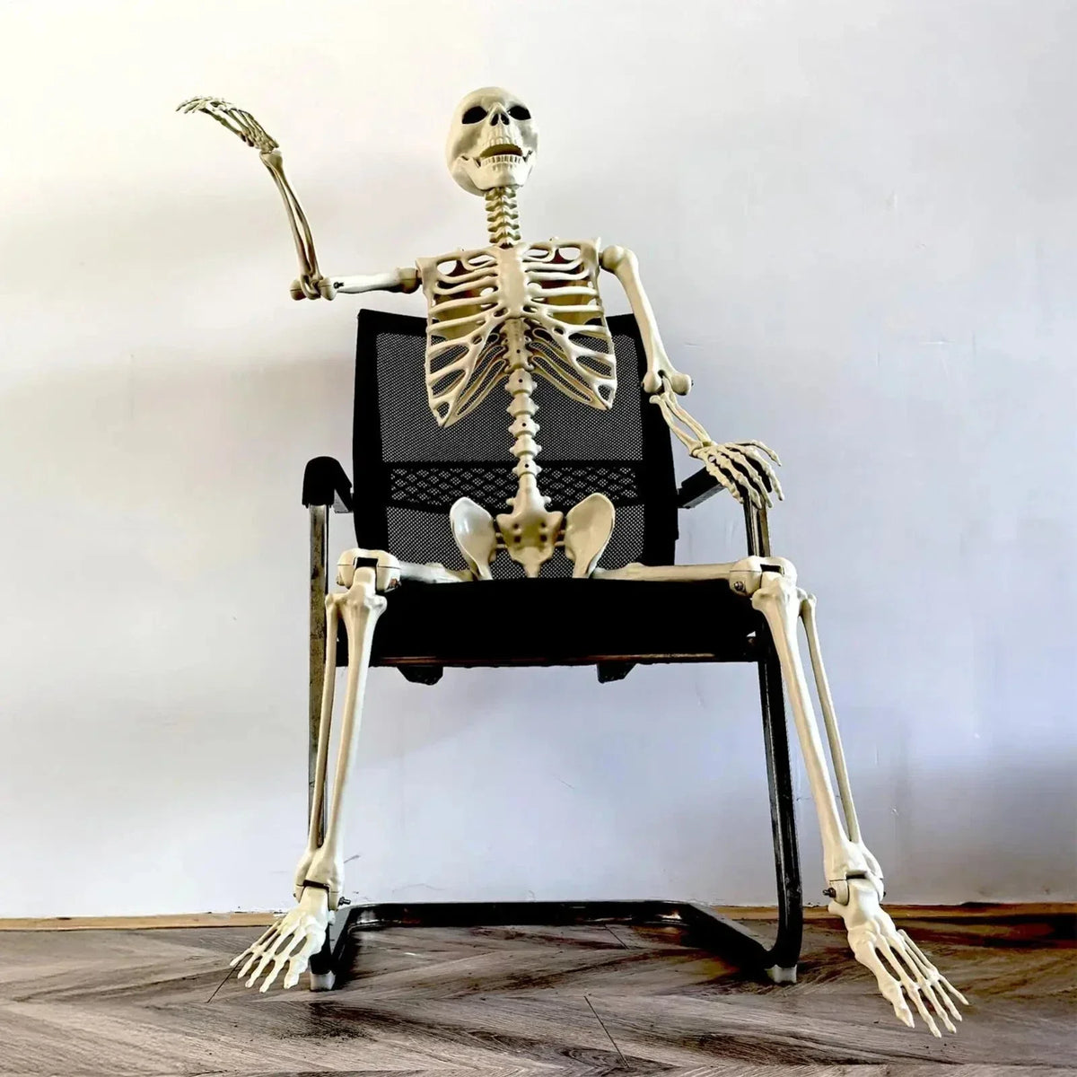 Halloween Human Skeleton Poseable Full Life Size Decoration Party Prop 90 cm — alternate product view 5