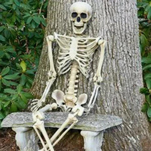 Halloween Human Skeleton Poseable Full Life Size Decoration Party Prop 90 cm — alternate product view 2