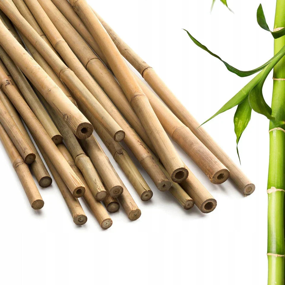 50 x 4ft Heavy Duty Bamboo Garden Canes Strong Thick Quality Plant Support — alternate product view 8
