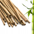 50 x 4ft Heavy Duty Bamboo Garden Canes Strong Thick Quality Plant Support — alternate product view 8