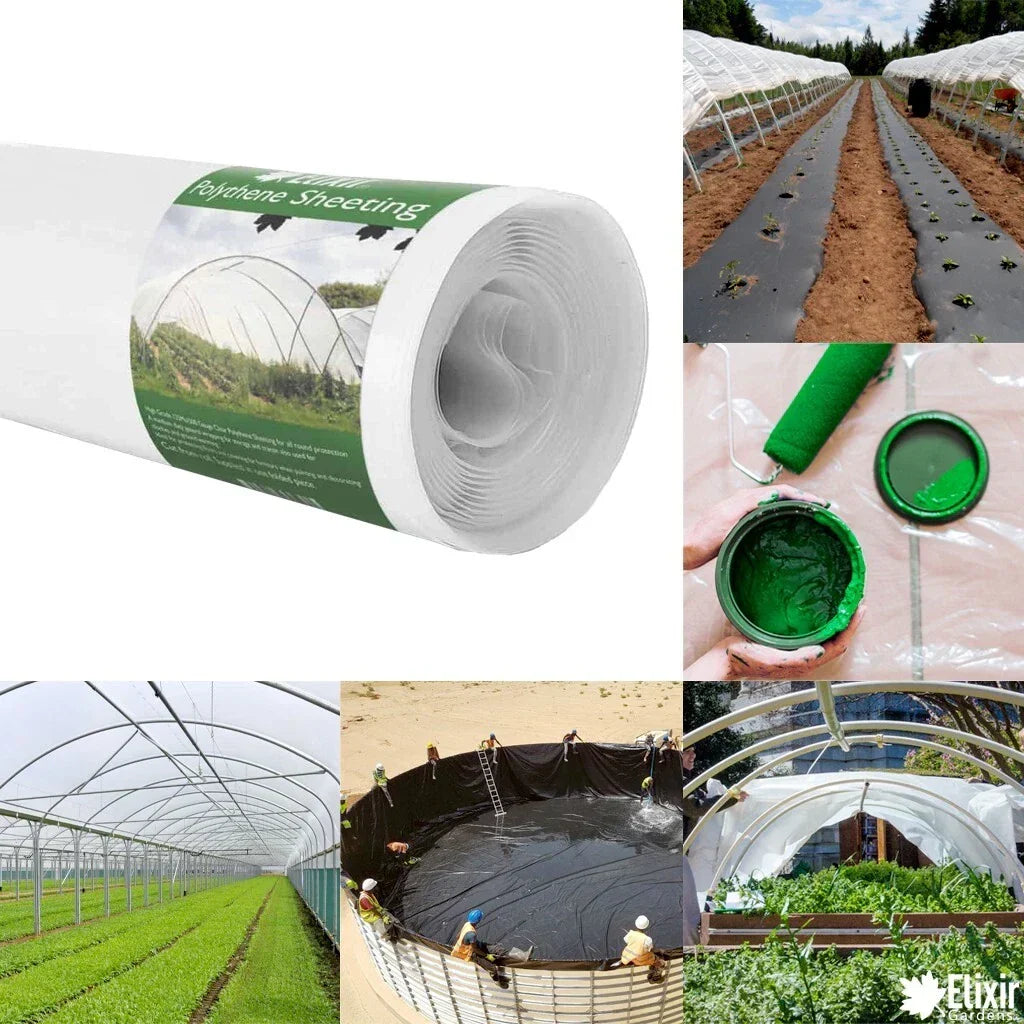 2m x 5m 500g Clear Polythene Plastic Green house Sheeting Heavy Duty Building — main product view