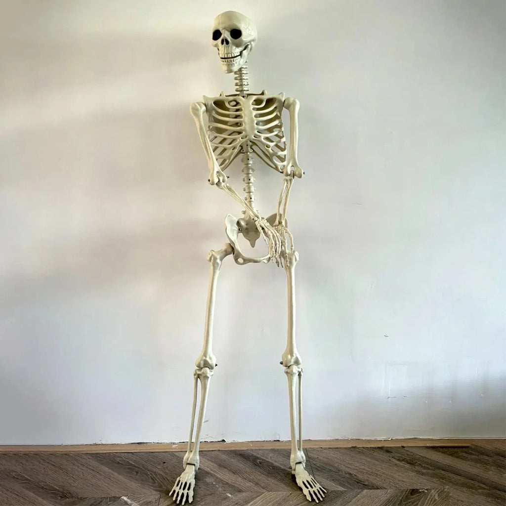 Halloween Human Skeleton Poseable Full Life Size Decoration Party Prop 90 cm — alternate product view 3