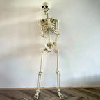 Halloween Human Skeleton Poseable Full Life Size Decoration Party Prop 90 cm — alternate product view 3