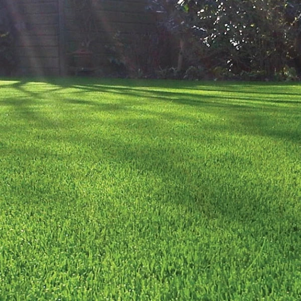 40mm Budget Artificial Grass Astro Lawn Fake Turf — alternate product view 4
