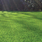 40mm Budget Artificial Grass Astro Lawn Fake Turf — alternate product view 4