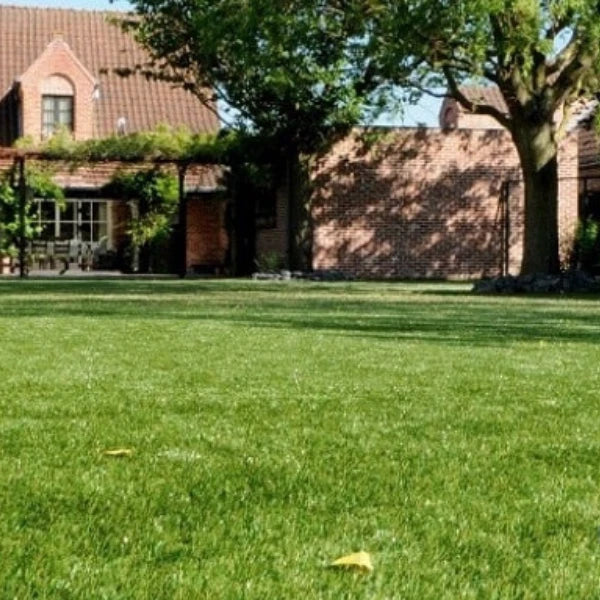40mm Budget Artificial Grass Astro Lawn Fake Turf — alternate product view 3