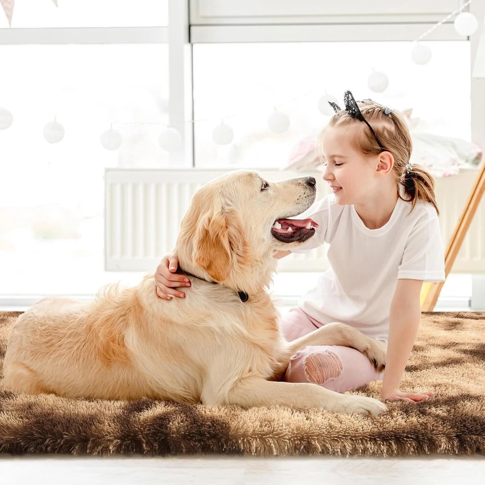 Fluffy Rugs Large Shaggy Rug Bedroom Living Room Anti Slip Soft Carpet — alternate product view 18