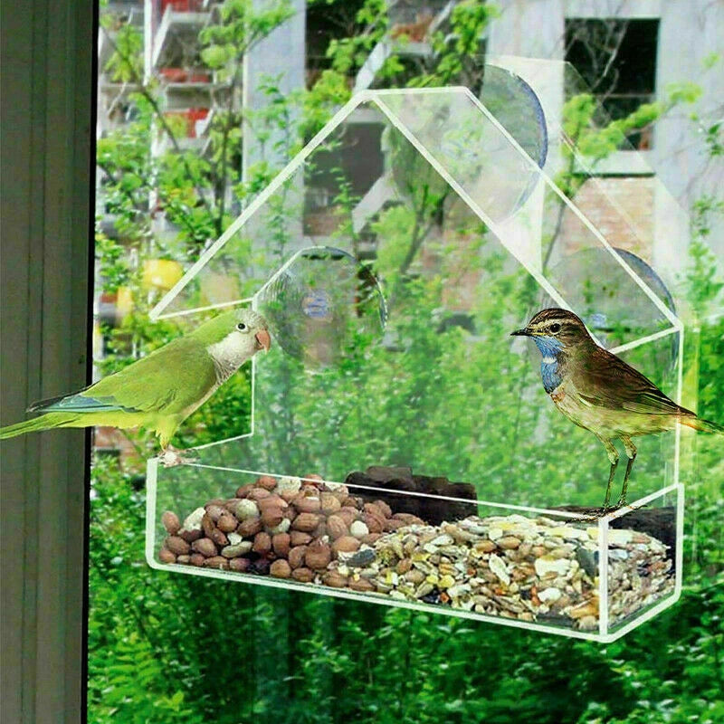 Two clear suction window bird feeders